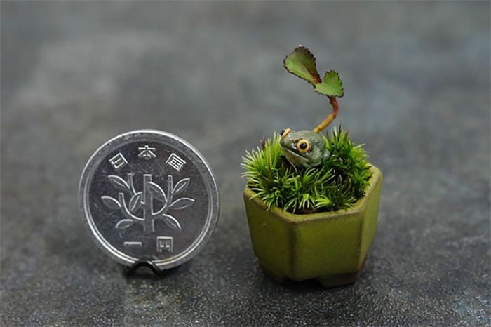 Mini-bonsai-just3ds.com-1