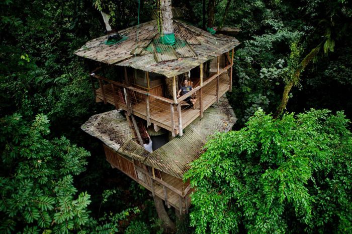 Rainforest-of-Costa-Rica-just3ds.com-1