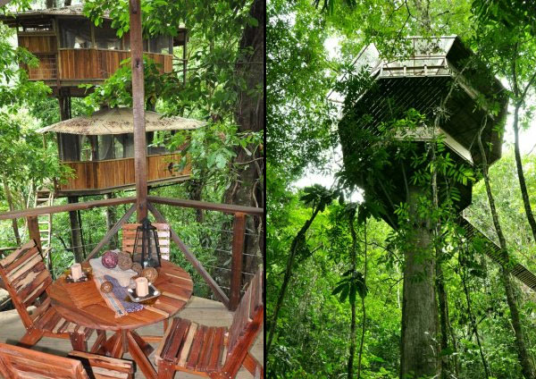 Rainforest-of-Costa-Rica-just3ds.com-3