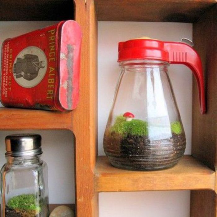 Terrariums-containers-just3ds.com-1