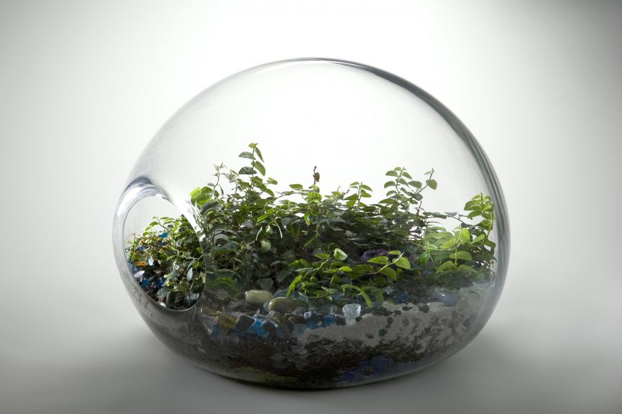 Terrariums-containers-just3ds.com-2