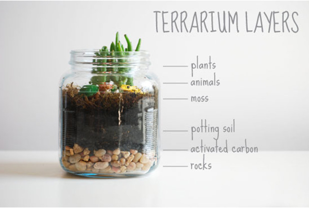 Terrariums-containers-just3ds.com-3